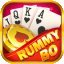 rummy nobab icon