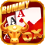 51 rummy bonus app icon